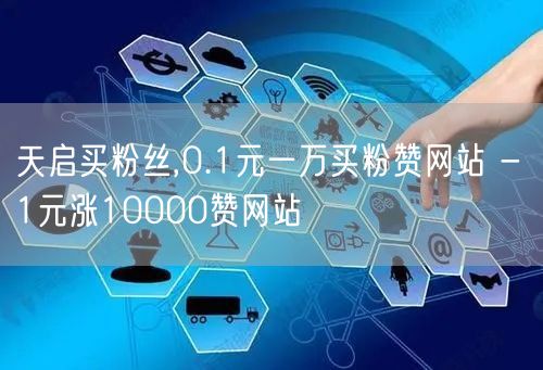 天启买粉丝,0.1元一万买粉赞网站 - 1元涨10000赞网站