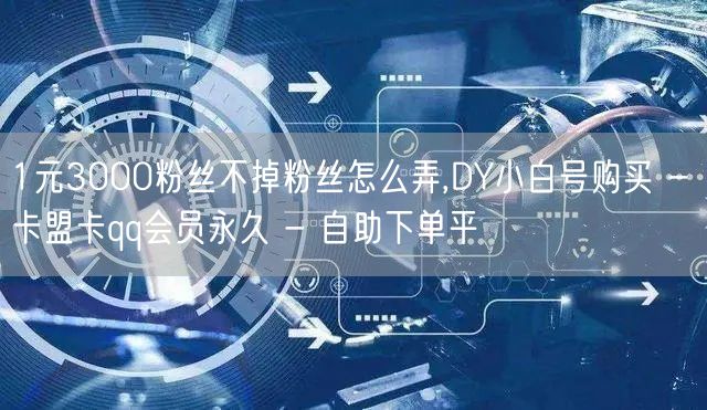 1元3000粉丝不掉粉丝怎么弄,DY小白号购买 - 卡盟卡qq会员永久 - 自助