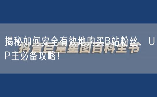 揭秘如何安全有效地购买B站粉丝，UP主必备攻略！