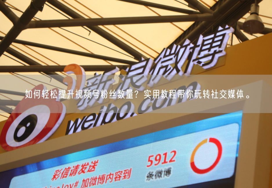 如何轻松提升视频号粉丝数量？实用教程带你玩转社交媒体。