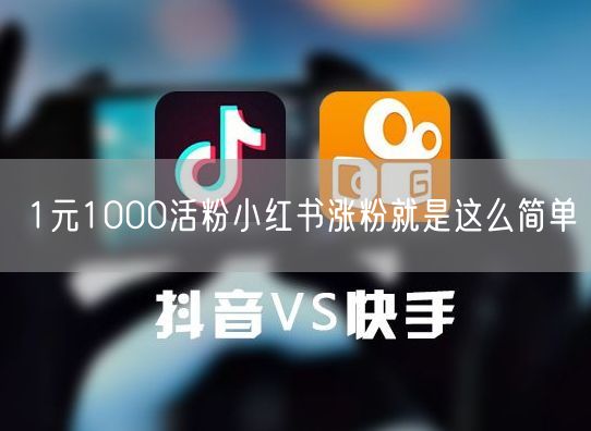 1元1000活粉小红书涨粉就是这么简单
