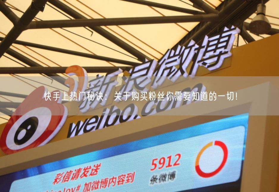 快手上热门秘诀：关于购买粉丝你需要知道的一切！
