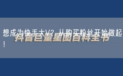 想成为快手大V？从购买粉丝开始做起！